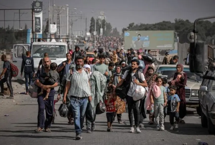 منسقة الشئون الإنسانية بغزة: 1.9 مليون شخص اضطروا للنزوح في مختلف أنحاء القطاع