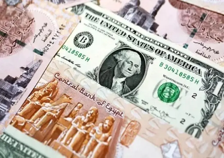 الثلاثاء 10 سبتمبر 2024.. استقرار سعر الدولار عند 48.43 جنيه للبيع في بداية التعاملات