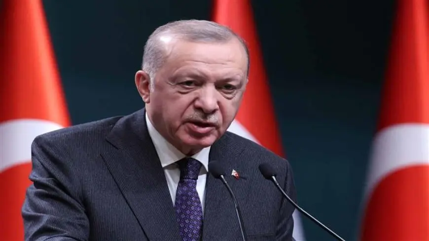 أردوغان: دعمنا متواصل لوحدة أراضي أوكرانيا