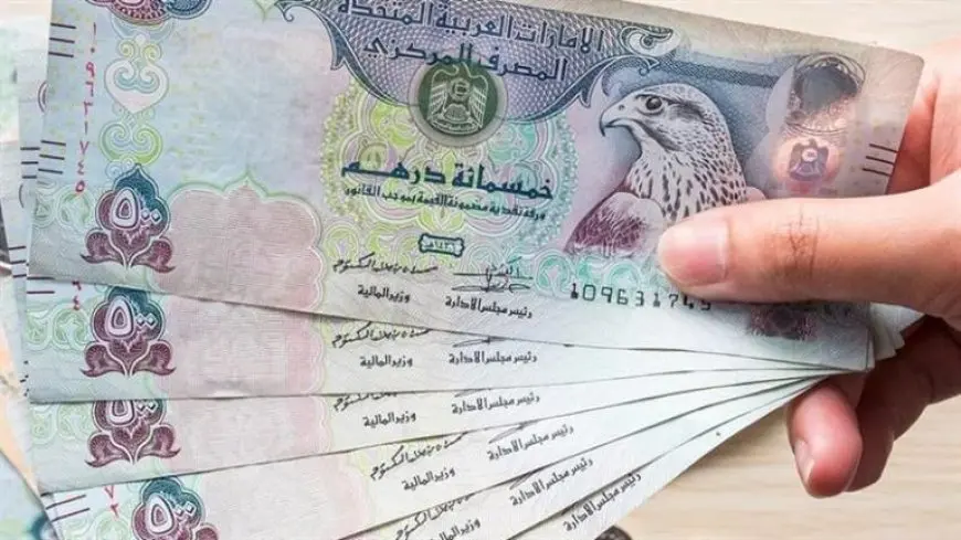 منها الدرهم الإماراتي.. انخفاض جماعي لأسعار العملات العربية خلال تعاملات اليوم