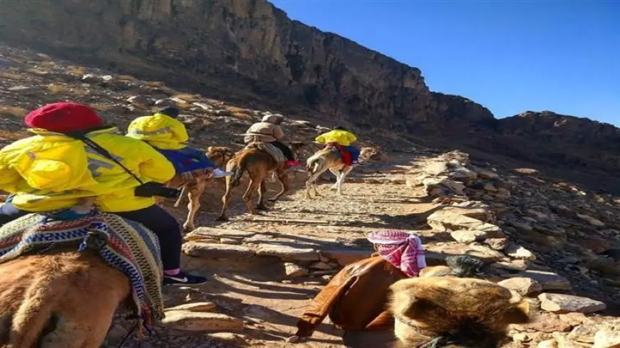 رحلة إلى قمة الإيمان.. سياح يتحدون الصعاب من أجل شروق الشمس على جبل موسى -صور