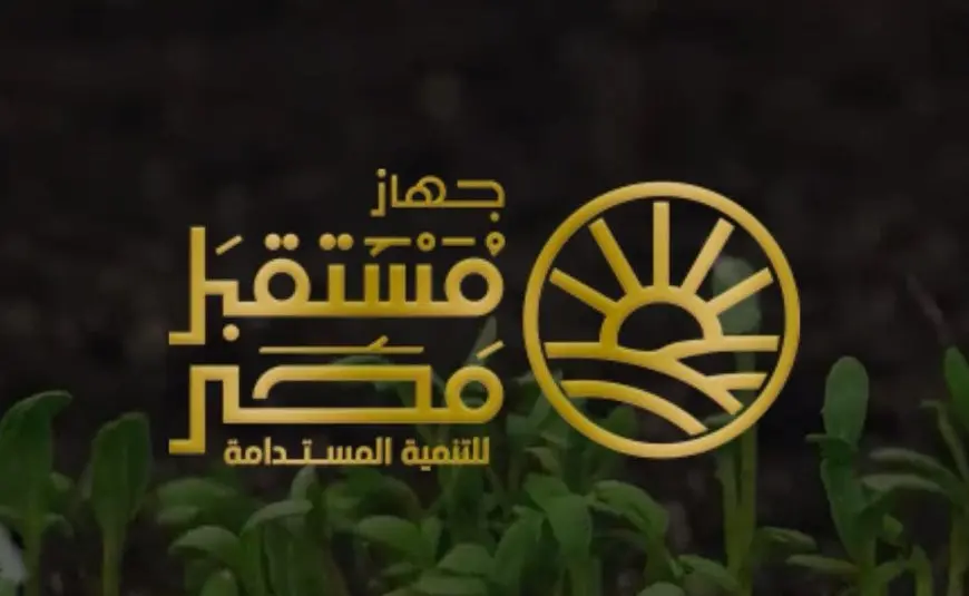 نقل تبعية بحيرة البردويل إلى جهاز مستقبل مصر للتنمية المستدامة.. ما الخلفيات والأهداف؟