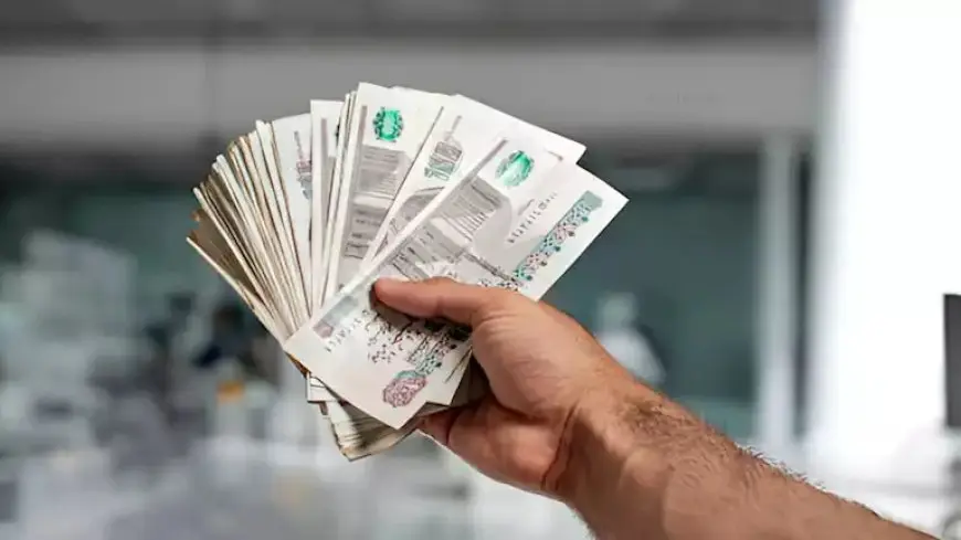 بعد قرار المركزي.. البنوك تعقد أول اجتماعاتها لمراجعة أسعار الفائدة غدا