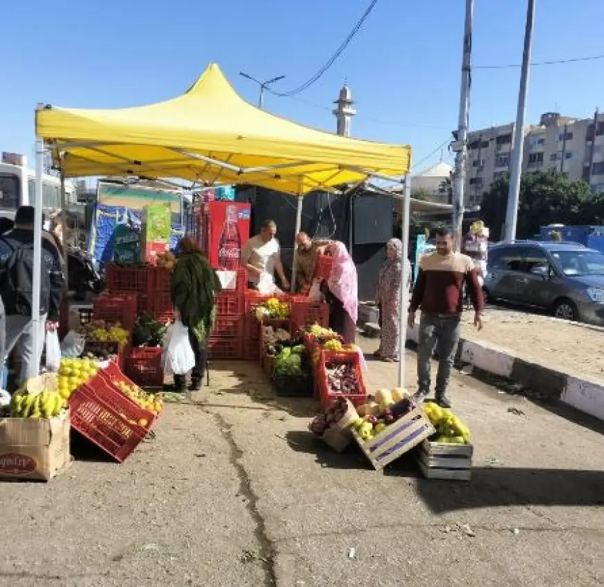 الغرف التجارية: الخضروات والفاكهة بنصف السعر في سوق اليوم الواحد