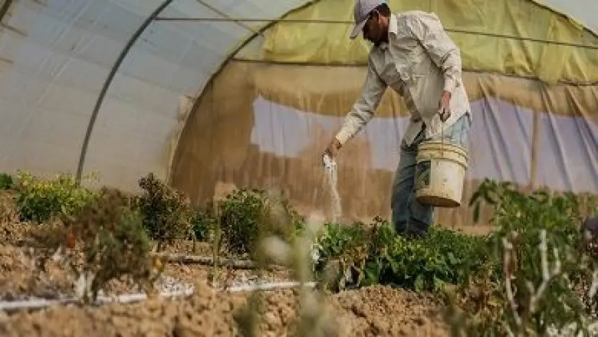 الصحة: رفع درجة الاستعداد بجميع المستشفيات والرعايات استعدادا لاحتفالات عيد الميلاد