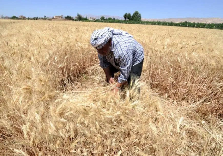 وزير التجارة السوري: القمح والوقود يكفيان لبضعة أشهر لكننا قد نواجه كارثة