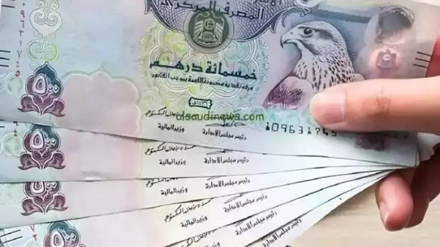 منها الدرهم الإماراتي والدينار الكويتي.. انخفاض 6 عملات عربية خلال تعاملات الأحد