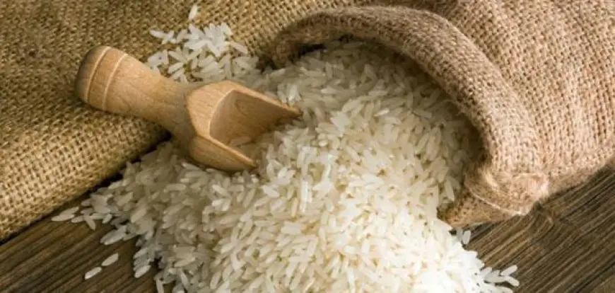 14% تراجعا في سعر طن الأرز.. وأسعار التجزئة مستقرة على ارتفاع