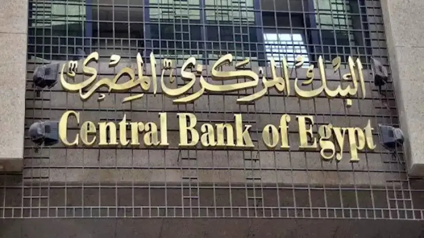 احتياطي النقد الأجنبي لمصر يقفز إلى 47.265 مليار دولار بنهاية يناير